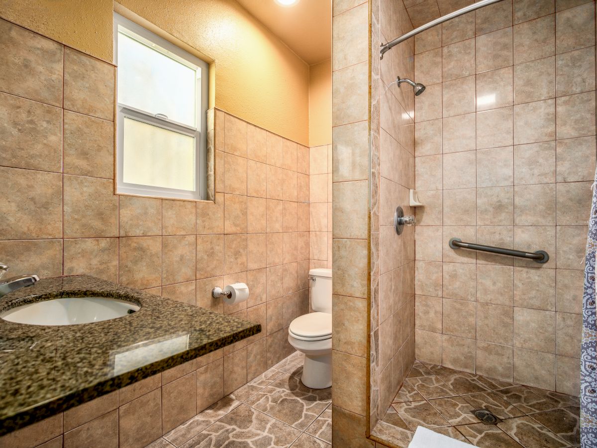 A well-lit bathroom with a granite countertop sink, a toilet, a walk-in shower with a grab bar, and tiled walls and floors.