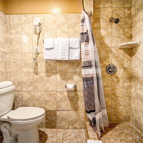 The image shows a bathroom with a tiled shower, a toilet, a towel rack with towels, a wall-mounted hairdryer, and a shower curtain with a striped pattern.